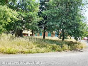 Viterbo - Erba alta al Pilastro - Via Domenico Corvi