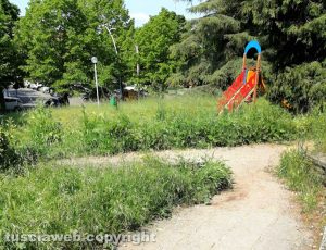 Viterbo - Erbacce al parco di via Monte Cervino