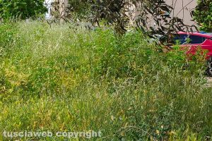 Viterbo - Piazzale degli Etruschi