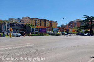 Viterbo - Papaveri