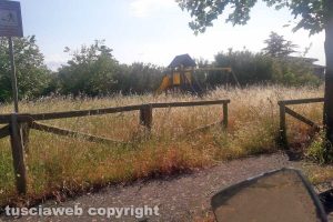 Viterbo - Erba alta al parco di via Fulvio Tomassucci