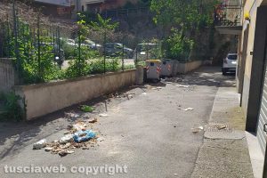 Viterbo - Danni dei cinghiali