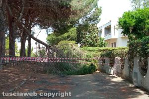 Montalto di Castro - Incuria alla marina