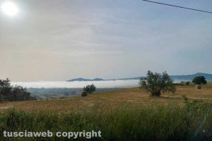 Viterbo - Campagna