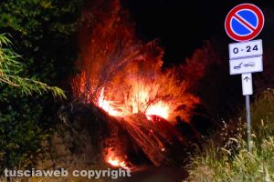 Viterbo - Incendio su strada Salamaro