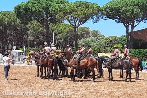 Montalto di Castro - Maremma d'aMare