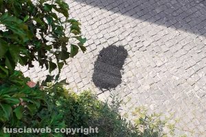 Viterbo - Buca rattoppata in centro