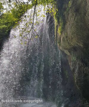 Cascata di Rio Chiaro di Castel Celles