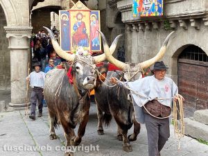 Viterbo - La processione del Santissimo Salvatore