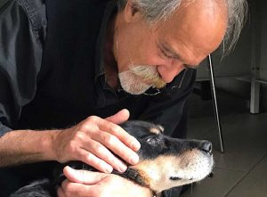 Udine - La cagnolina Alba ritrovata dopo 13 anni