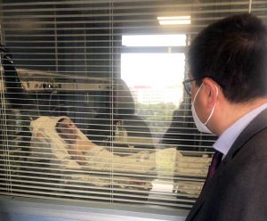 Roma - L'assessore regionale D'Amato visita il giovane ucraino Vadim