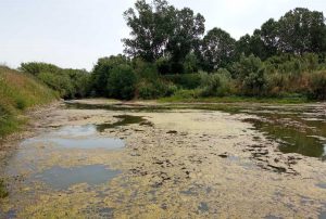 Tarquinia - Il fiume Mignone