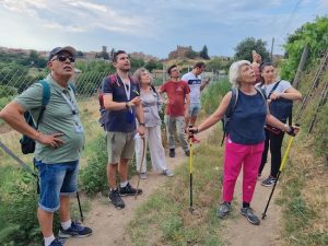 Gruppo archeologico Tuscania - Escursione