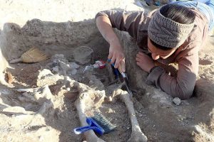 Gli scavi al parco Archeologico di Vulci