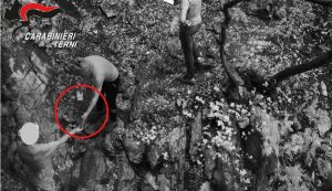 Terni - Carabinieri - Spaccio nel bosco