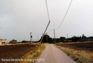 Viterbo - Palo pericolante in strada Montarone