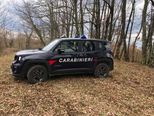 Carabinieri - Immagine di repertorio