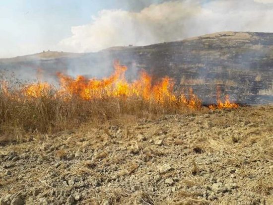 Un incendio - Immagine di repertorio