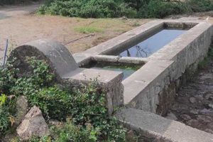 Barbarano Romano - Uno dei fontanili al Parco Marturanum