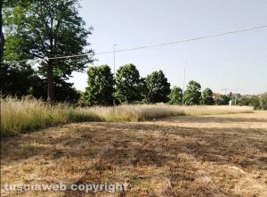 Viterbo - Zona Santa Lucia - Erbacce