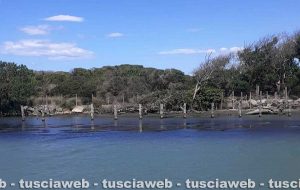 Montalto di Castro - Il fiume Fiora