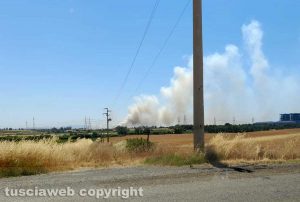 Montalto di Castro - Incendio in un campo di grano