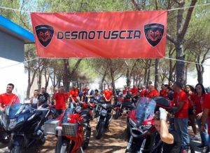 Desmotuscia