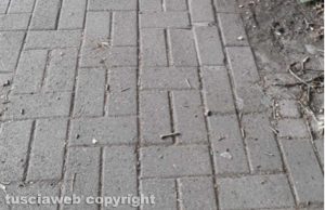 Viterbo - Viale Baracca - Dopo la segnalazione su Tusciaweb
