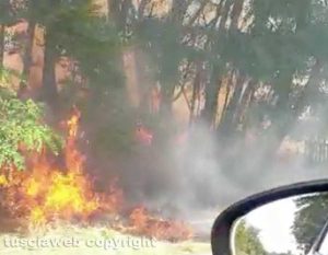 Sterpaglie in fiamme sulla Commenda