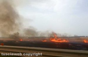 Civitavecchia - Vasto incendio di sterpaglie