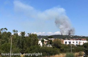 Incendio a Santa Marinella