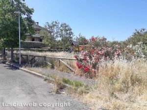 Parco in via Tomassucci