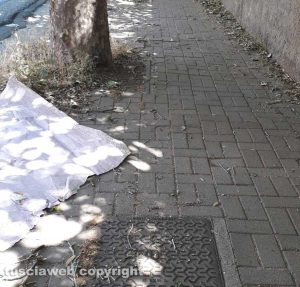 Viterbo - Erbacce, cartelloni e rami sacchi in viale Baracca