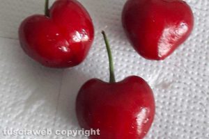 Un cuore di ciliegia