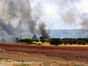 Viterbo - Vasto incendio a Castel d'Asso