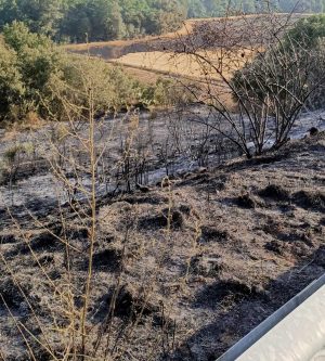 Incendio tra Viterbo e Vetralla