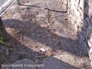 Degrado in Via Santa Maria in Gradi