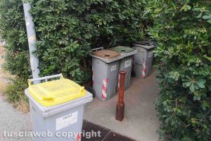 Viterbo - Il raccoglitore della carta