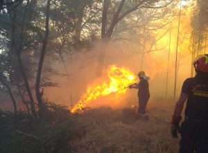 Montefiascone - Incendio tra la località Caversa e Grilli nella frazione di Zepponami