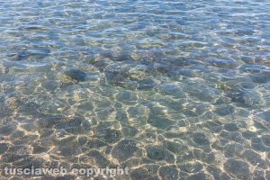 Tarquinia - Il mare a Marina Velka