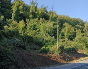 Ronciglione - Riaperta strada Valle di Vico