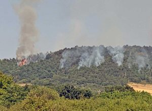 Bosco in fiamme tra il lago di Mezzano e il Casone