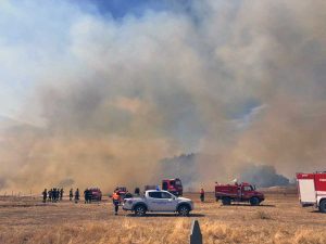 Bagnoregio - Incendio in zona ex Alta
