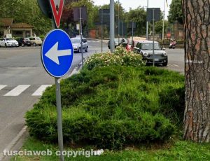 Viterbo - La siepe a piazzale A. Gramsci