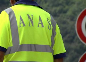 Anas