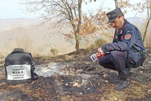 Carabinieri gruppo forestale - Incendi boschivi