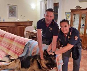 Orvieto - Il pastore tedesco salvato dalla polizia di stato