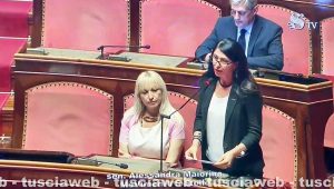 L'intervento in senato di Alessandra Maiorino (M5s)