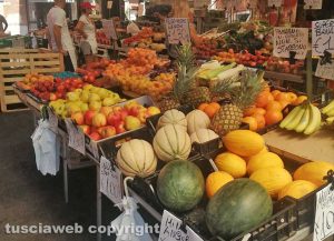 Civitavecchia - Mercato in piazza Regina Margherita
