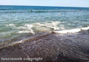 Montalto Marina - L'acqua del mare